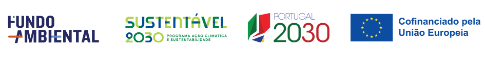 Financiamentos